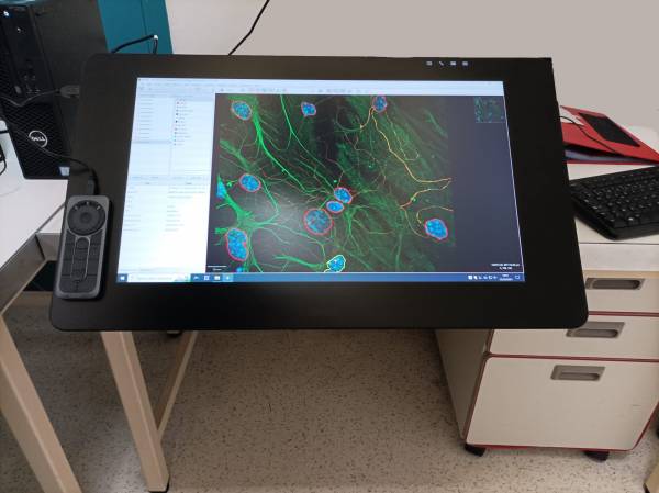 écran tactile Cintiq Pro 24 pouces Wacom